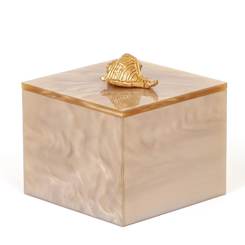 Shell Handle Cotton Pad Holder | Pinetti Bea | Italianfurniture.com