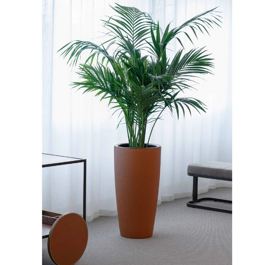 Leather Covered Plant Pot | Pinetti Silvy | Italianfurniture.com