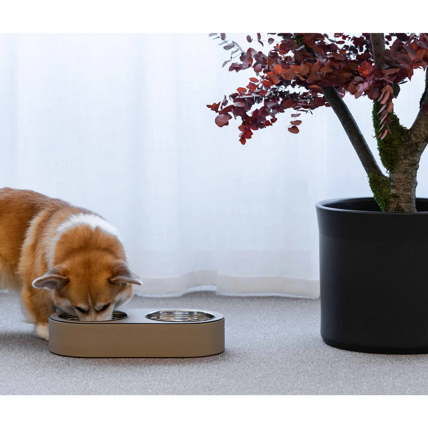 Leather Covered Pet Bowl | Pinetti | Italianfurniture.com