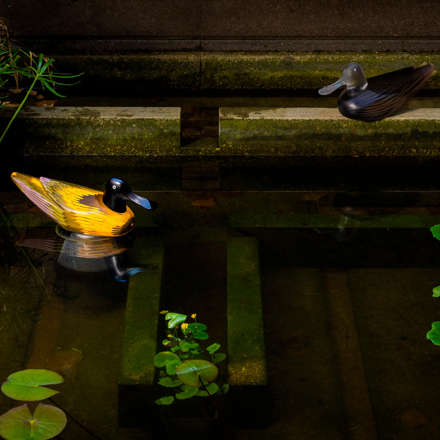 Glass Duck Sculpture | Venini Anatra | Italianfurniture.com