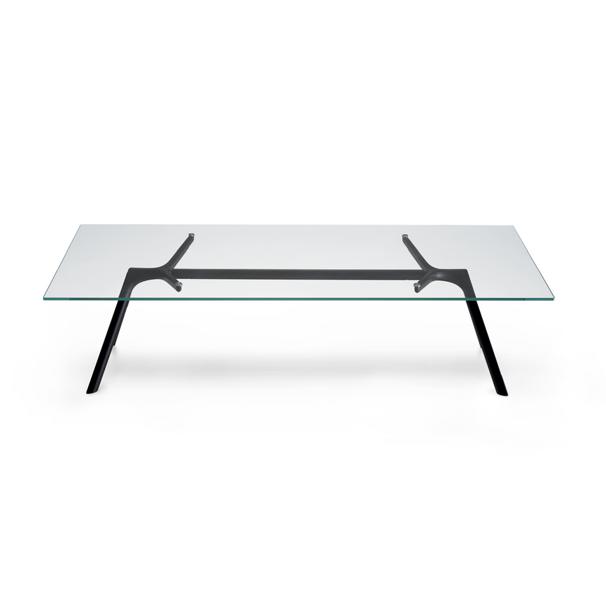 Rectangular Glass Coffee Table | Alias Dry XS