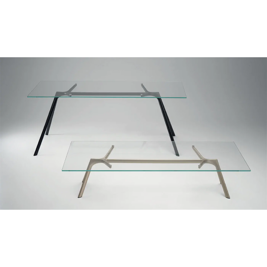 Rectangular Glass Coffee Table | Alias Dry XS | Italianfurniture.com