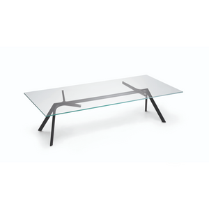 Rectangular Glass Coffee Table | Alias Dry XS