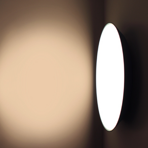 Circular Ceiling Lamp | Artemide Febe | ItalianFurniture.com