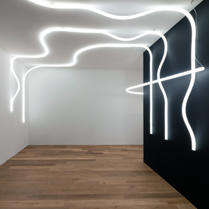 Flexible Tube Ceiling Lamp | Artemide La Linea | Italianfurniture.com