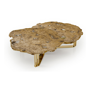 Tree Root Coffee Table | Bizzotto Italia Sidney | Italianfurniture.com
