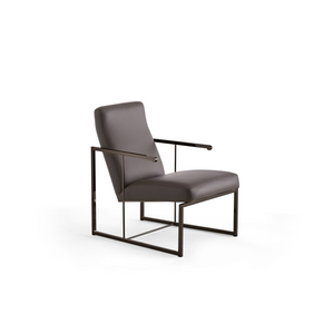 Metal Framed Modern Armchair | Dema Dada | Woodfurniture.com