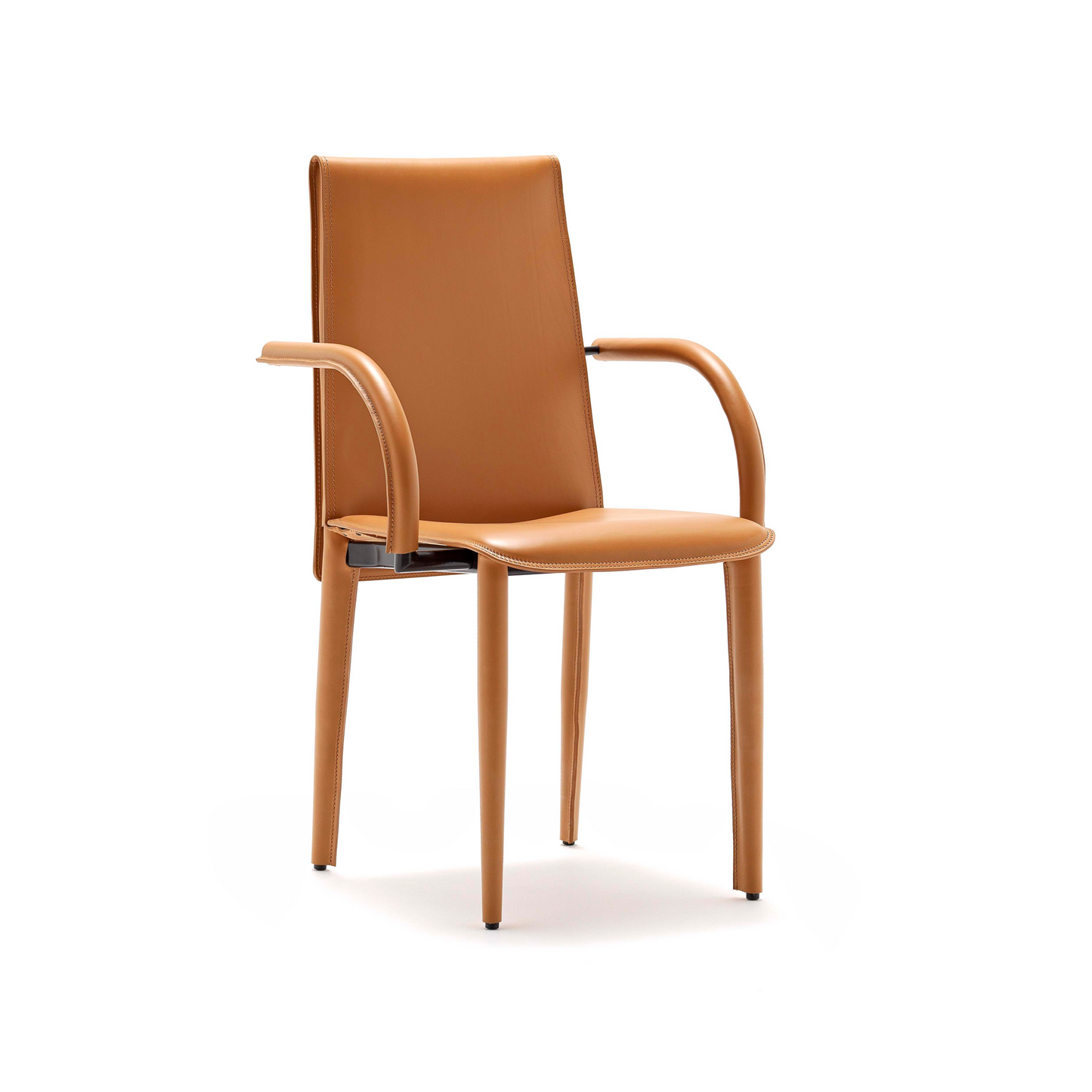 Leather Modern Dining Armchair | Fasem Relaix P | Italianfurniture.com