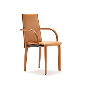 Leather Modern Dining Armchair | Fasem Relaix P | Italianfurniture.com