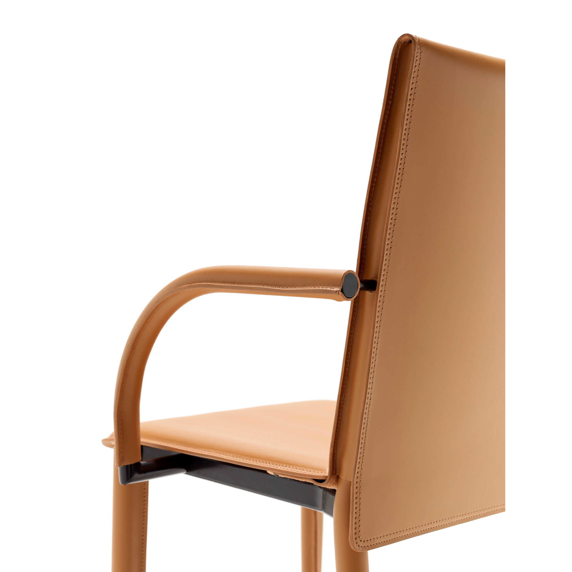 Leather Modern Dining Armchair | Fasem Relaix P | Italianfurniture.com