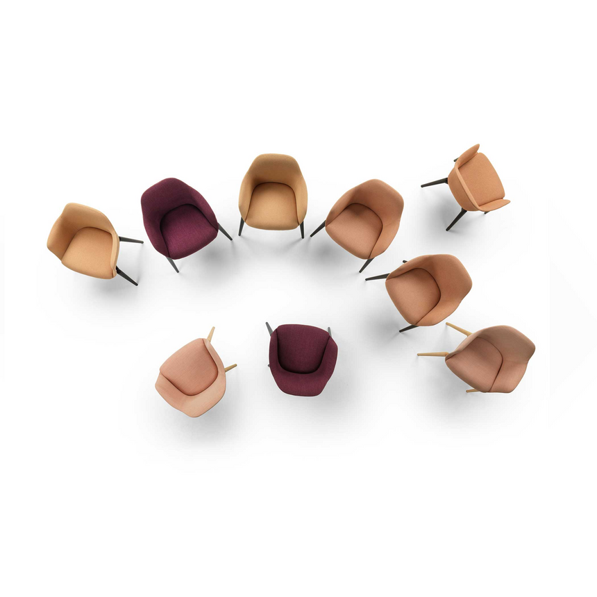 Shell Dining Armchair | Marelli Chia | Italianfurniture.com