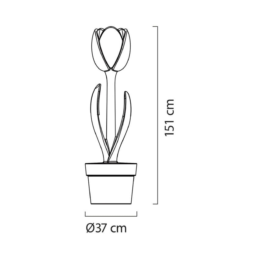 Floral Indoor/Outdoor Floor Lamp | Myyour Tulip | Italianfurniture.com