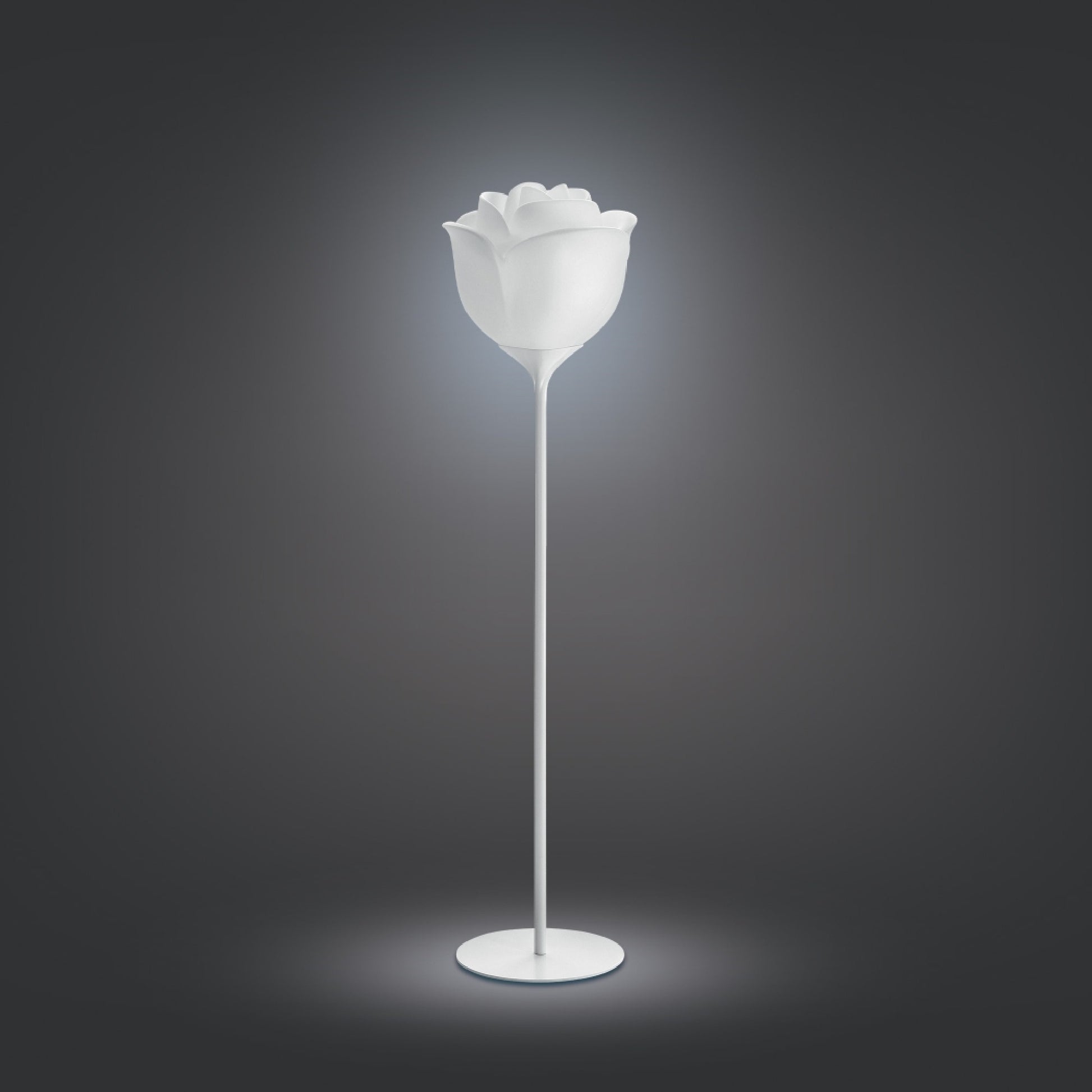 White Rose Indoor Floor Lamp | Myyour Baby Love | Italianfurniture.com