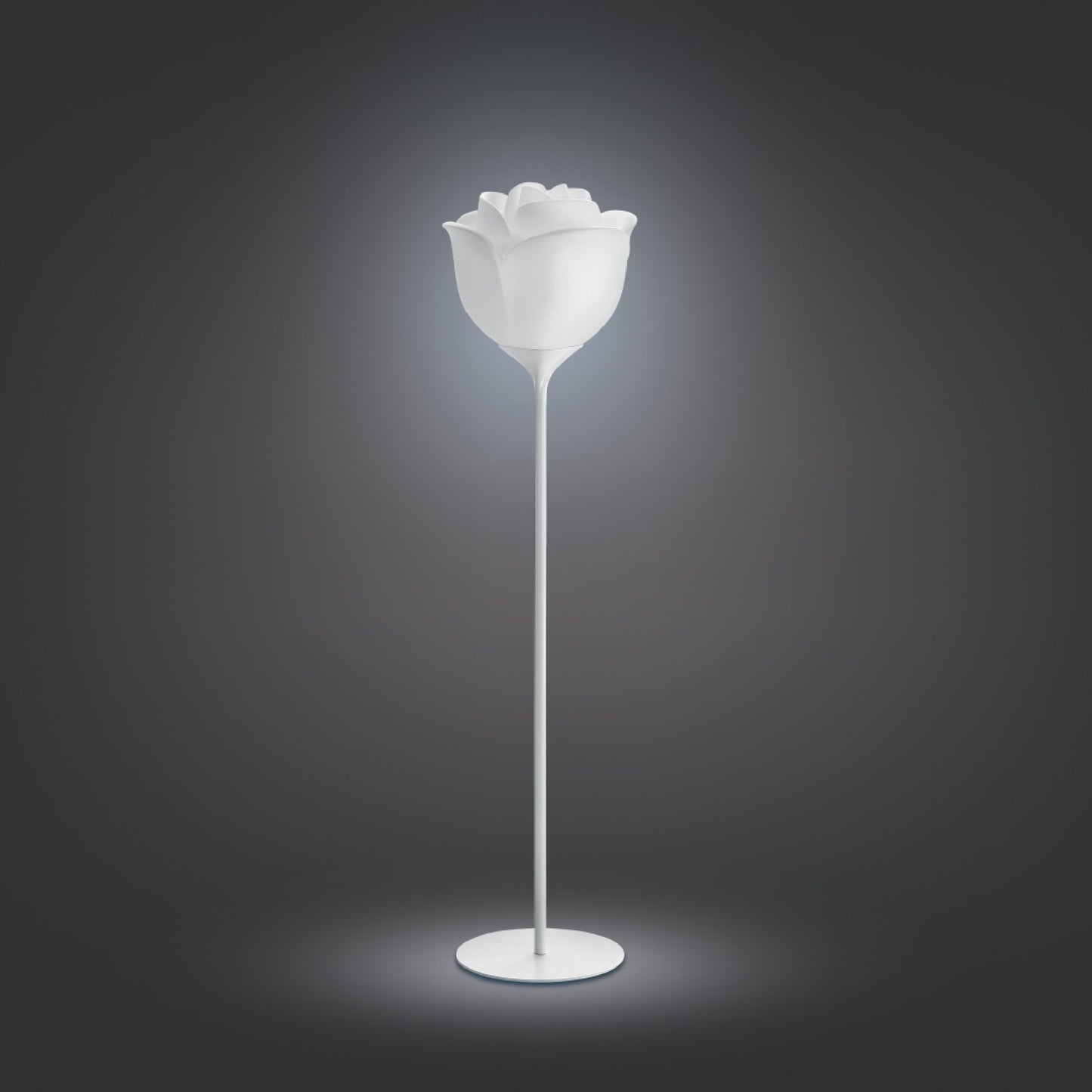 White Rose Outdoor Floor Lamp | Myyour Baby Love | Italianfurniture.com