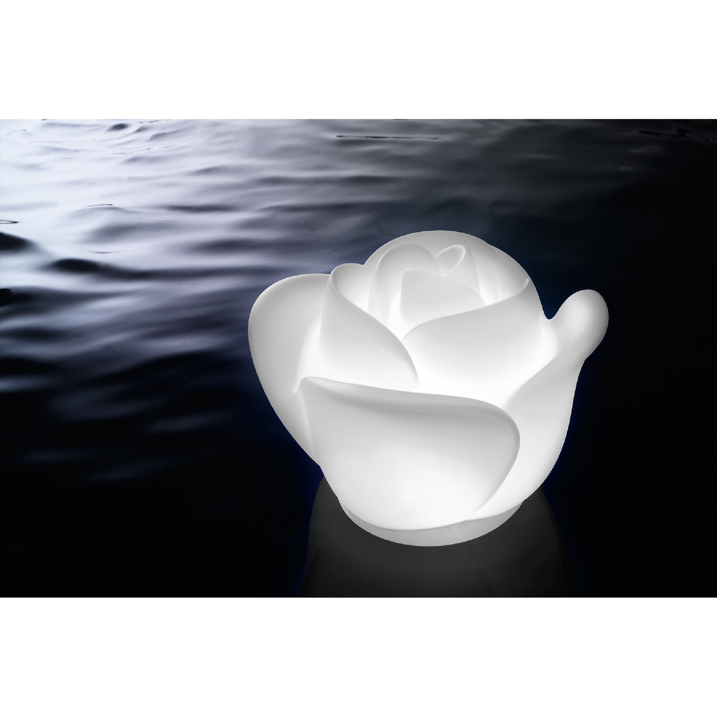 White Rose Garden Floating Light | Myyour Baby Love | Italianfurniture.com