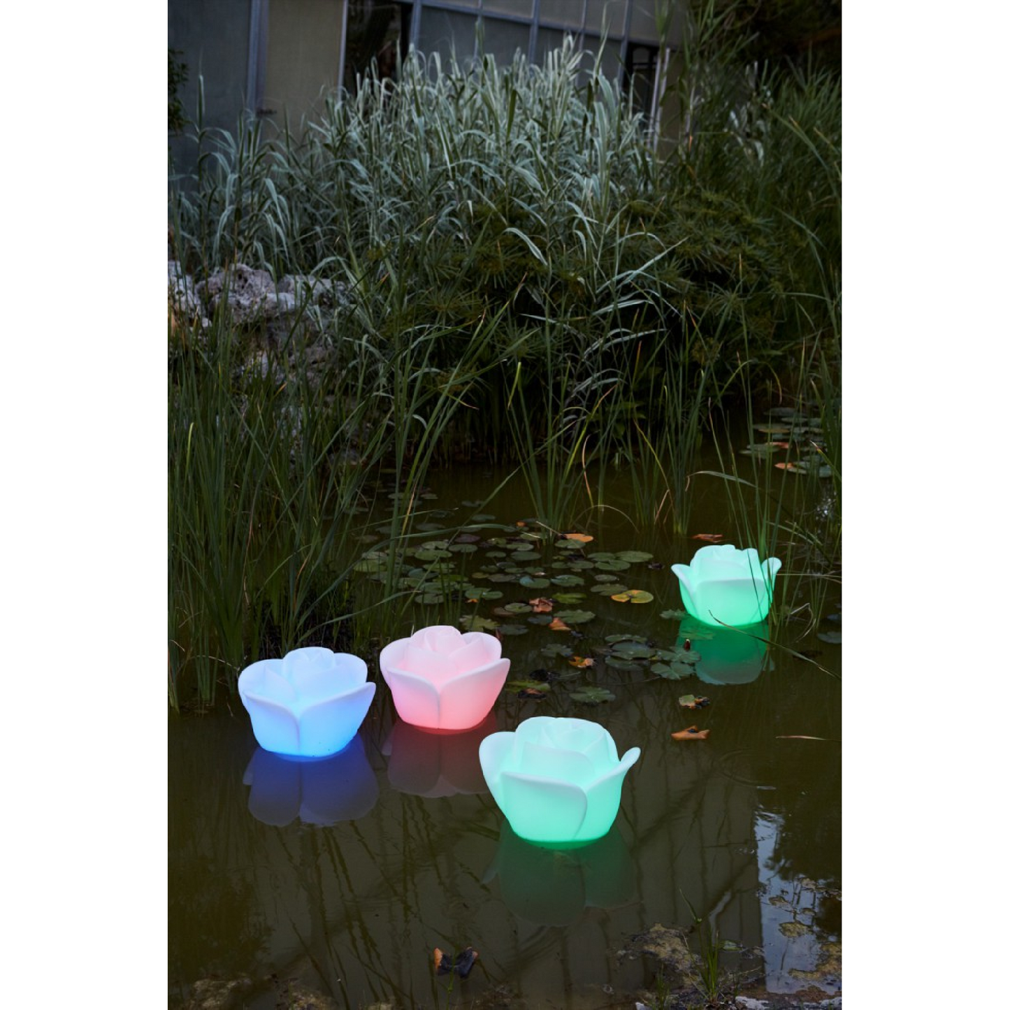 White Rose Garden Floating Light | Myyour Baby Love | Italianfurniture.com