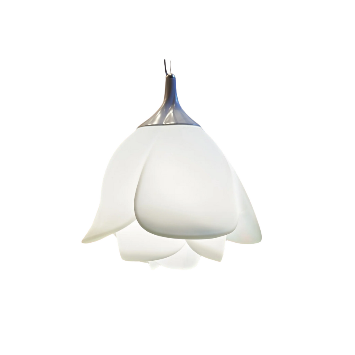 White Rose Pendant Light | Myyour Baby Love