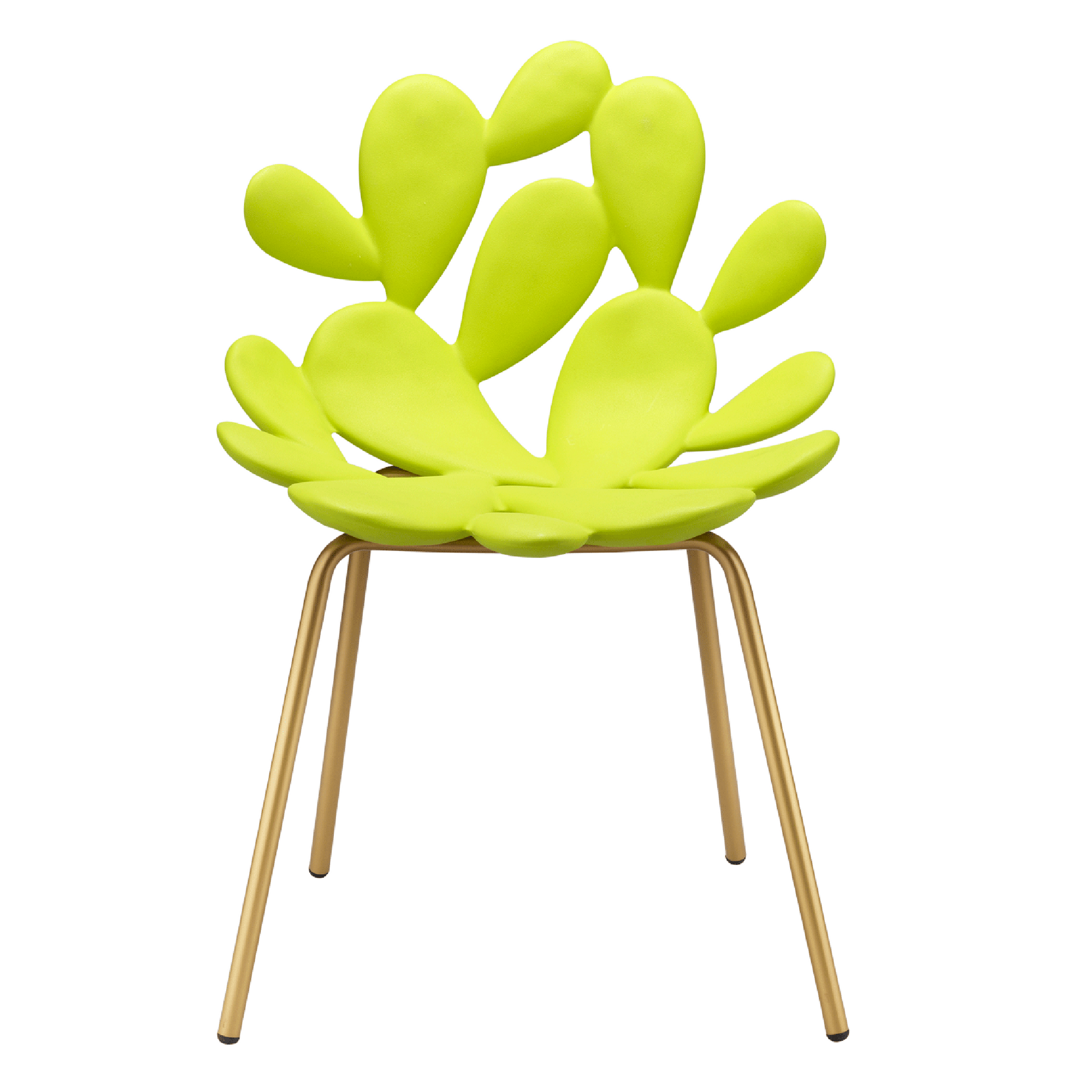 Cactus Design Indoor/Outdoor Dining Chair Set (2) | Qeeboo Filicudi | Italianfurniture.com