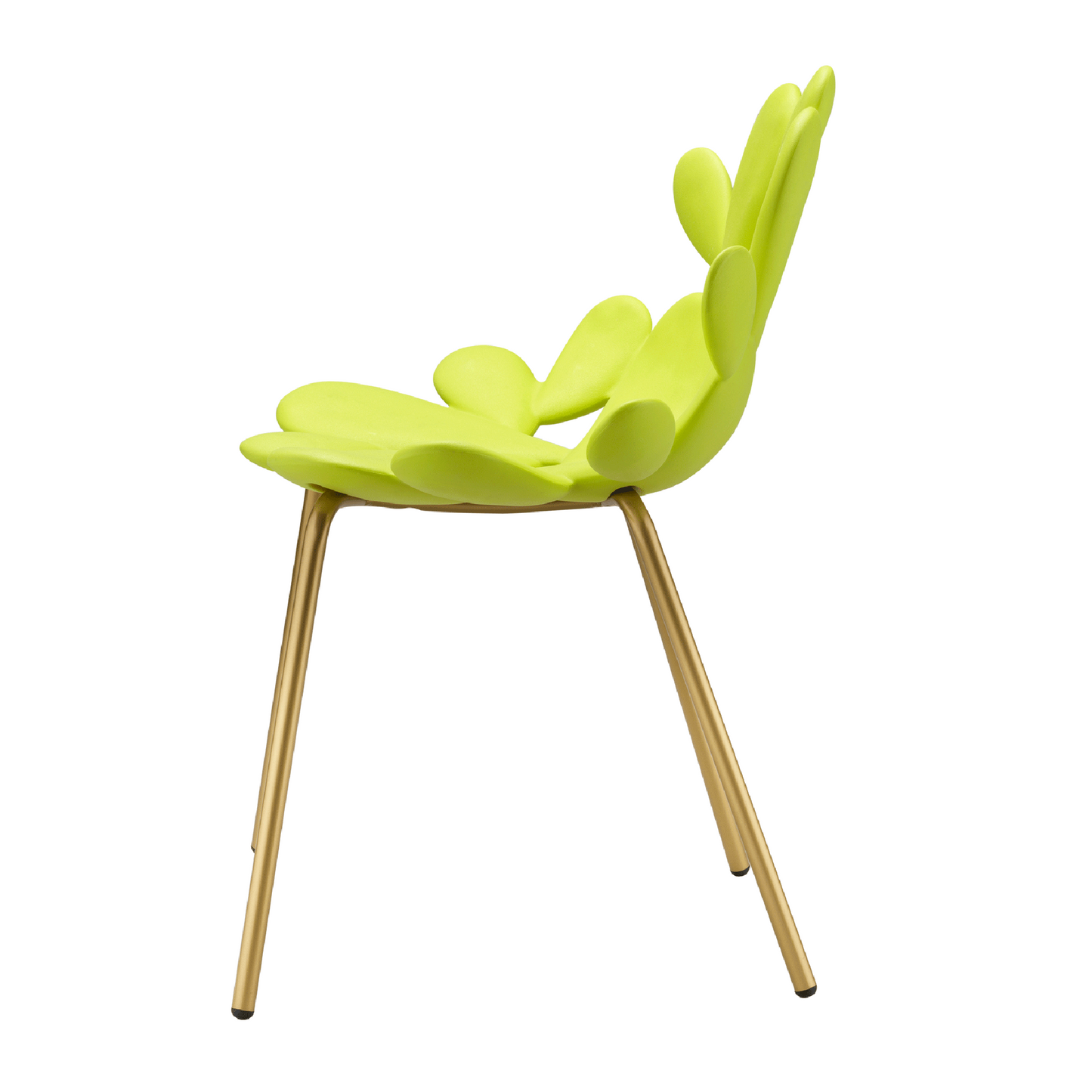 Cactus Design Indoor/Outdoor Dining Chair Set (2) | Qeeboo Filicudi | Italianfurniture.com