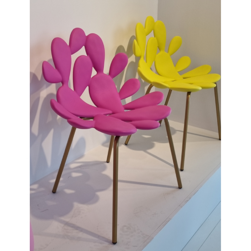 Cactus Design Indoor/Outdoor Dining Chair Set (2) | Qeeboo Filicudi | Italianfurniture.com