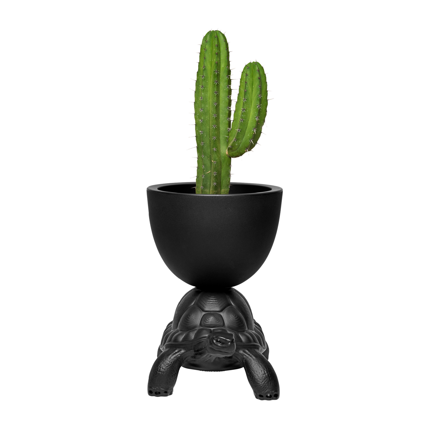 Modern Decorative Planter | Qeeboo Turtle Carry | Italianfurniture.com