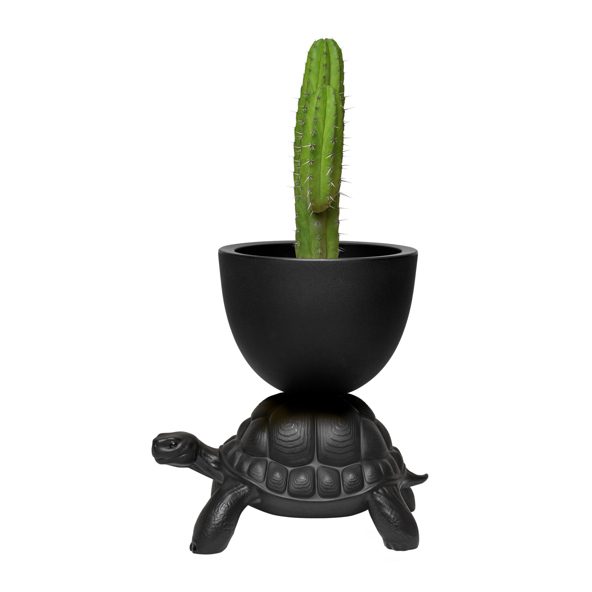 Modern Decorative Planter | Qeeboo Turtle Carry | Italianfurniture.com