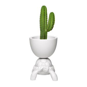 Modern Decorative Planter | Qeeboo Turtle Carry | Italianfurniture.com