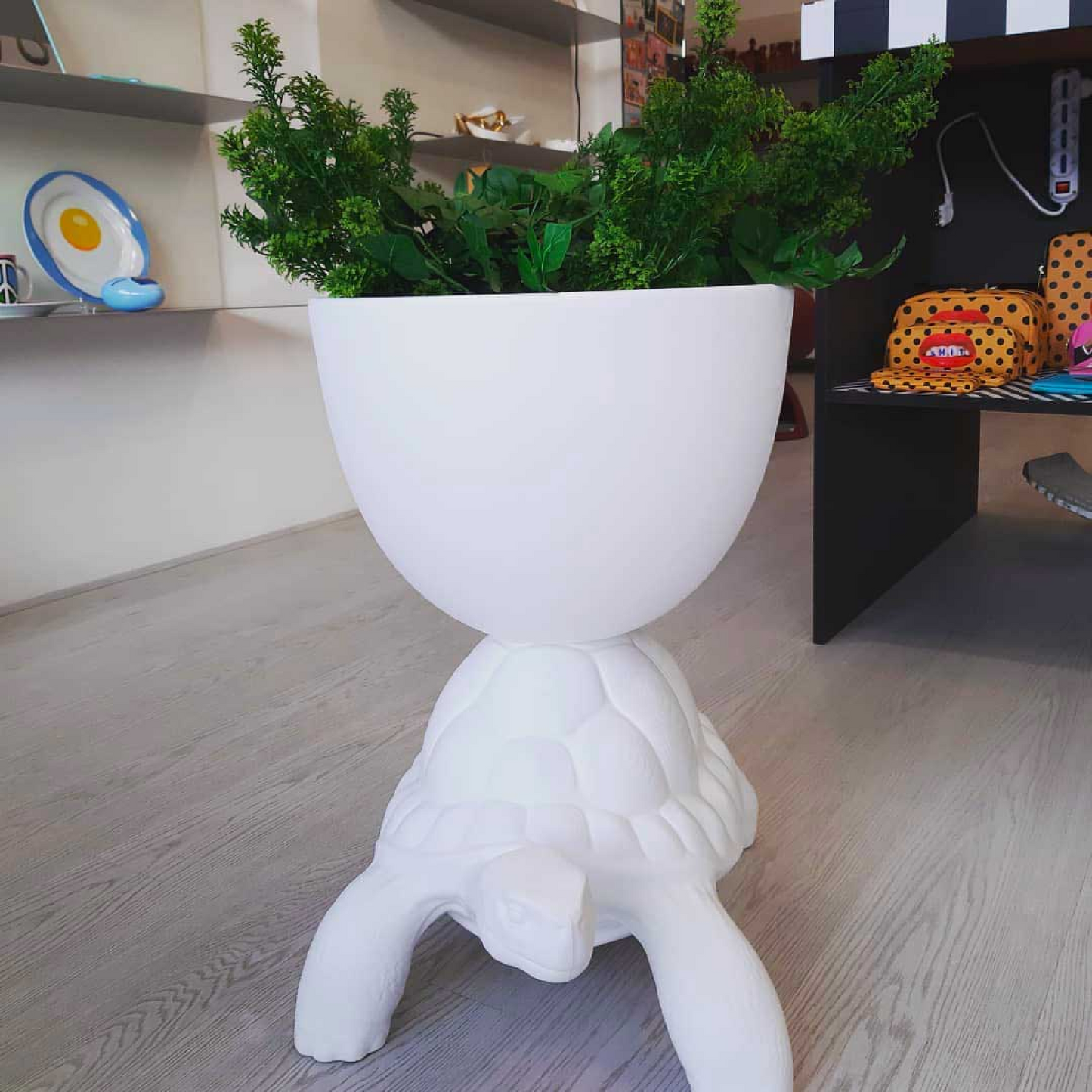 Modern Decorative Planter | Qeeboo Turtle Carry | Italianfurniture.com