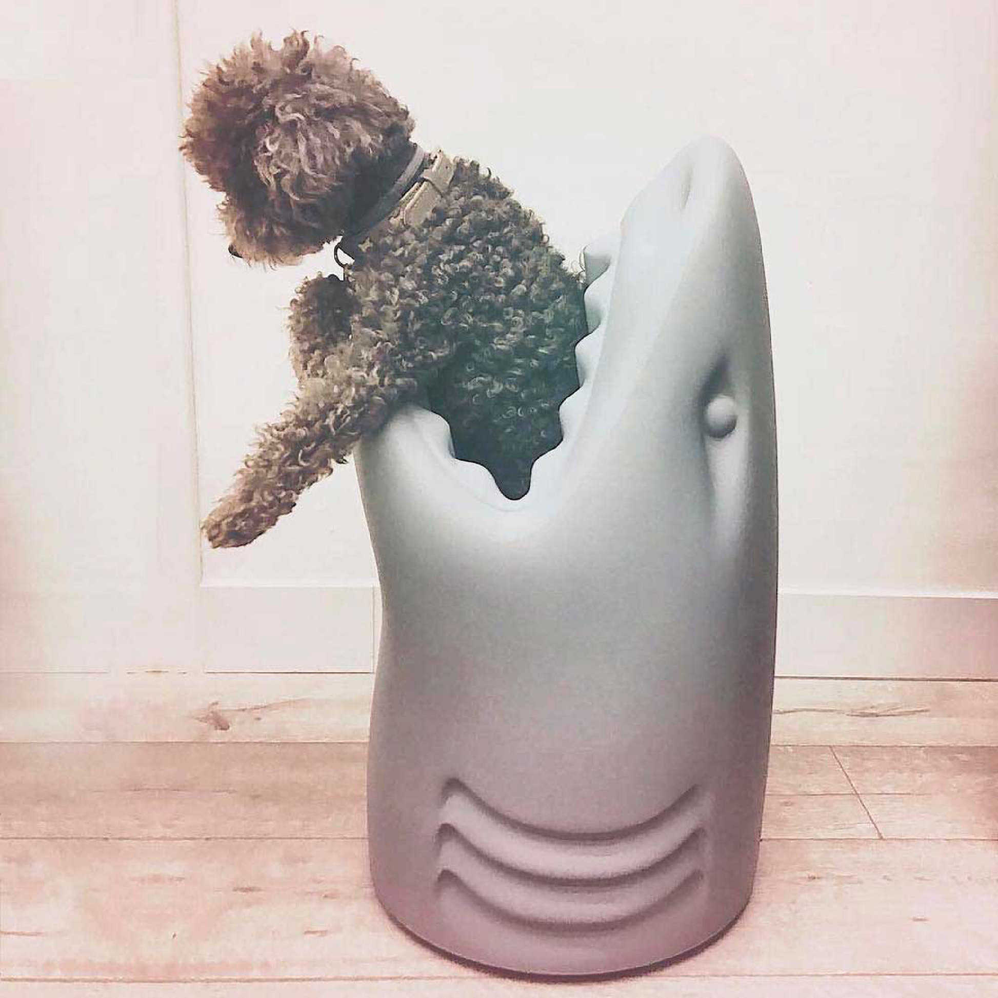 Shark-Shaped Multipurpose Holder | Qeeboo Killer | Italianfurniture.com