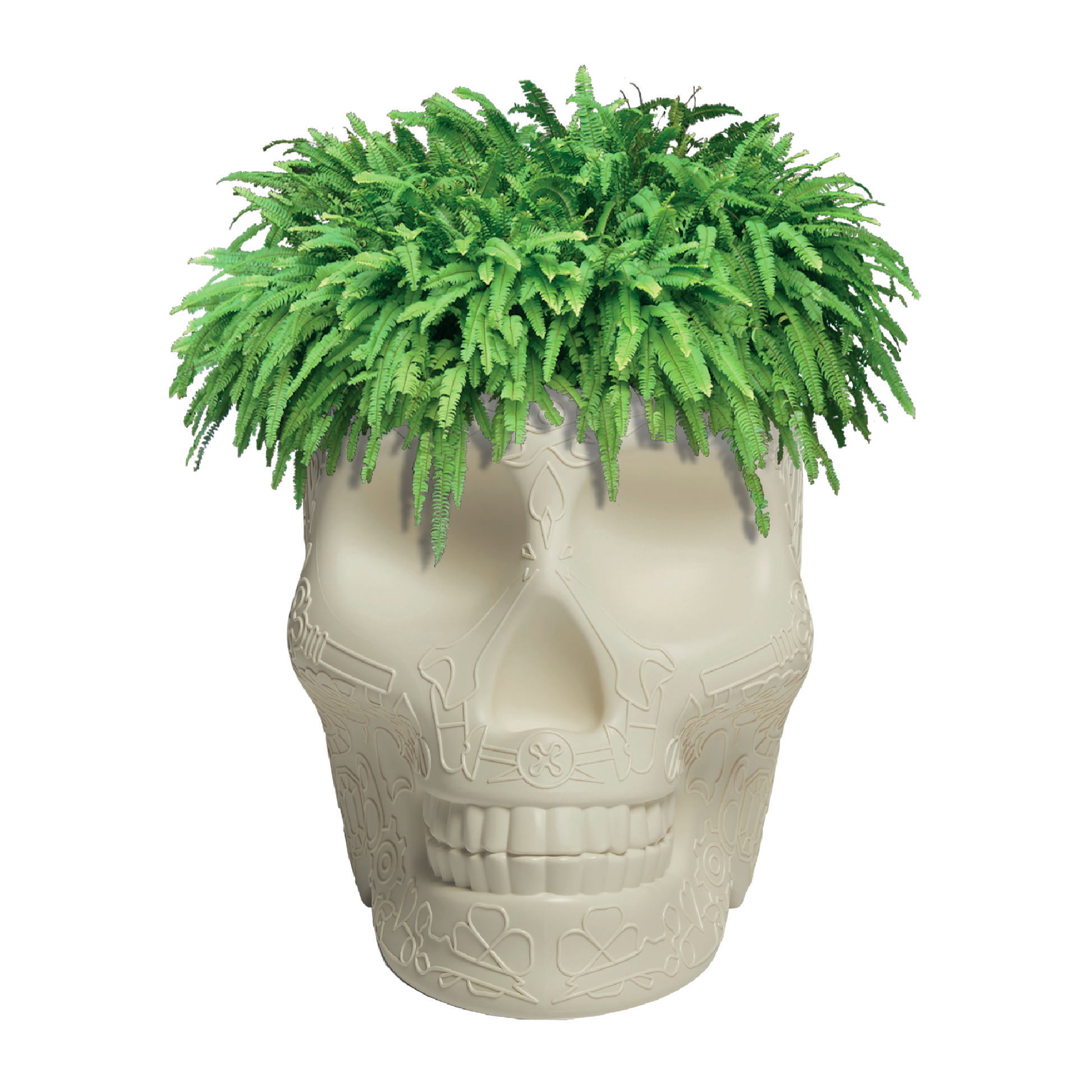 Skull-Shaped Planter Champagne Cooler | Qeeboo Mexico | Italianfurniture.com