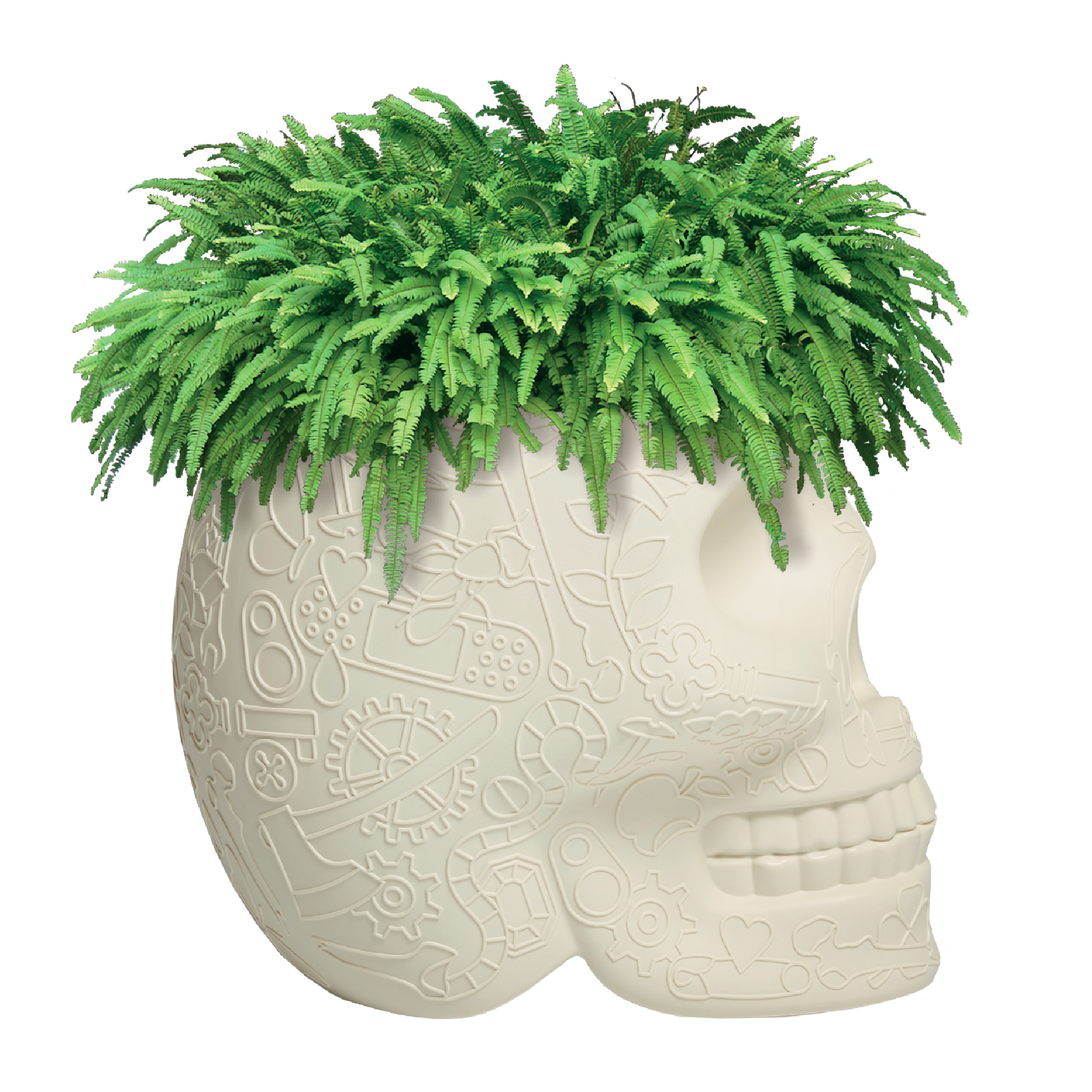 Skull-Shaped Planter Champagne Cooler | Qeeboo Mexico | Italianfurniture.com