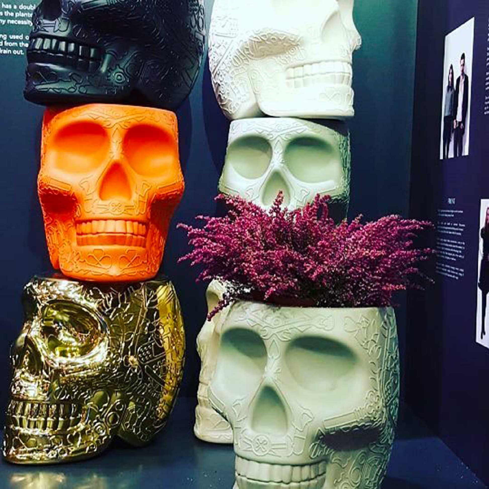 Skull-Shaped Planter Champagne Cooler | Qeeboo Mexico | Italianfurniture.com