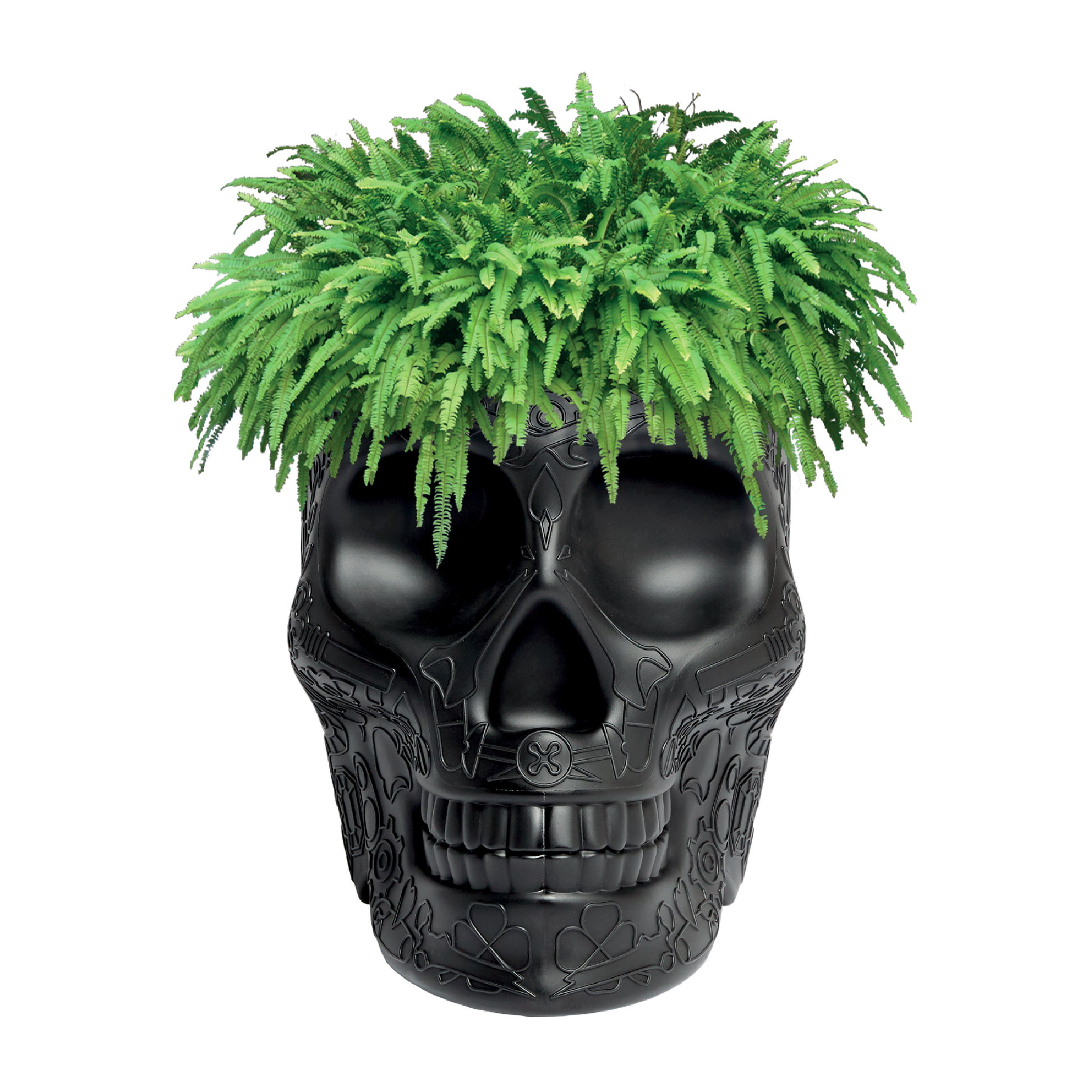 Skull-Shaped Planter Champagne Cooler | Qeeboo Mexico | Italianfurniture.com