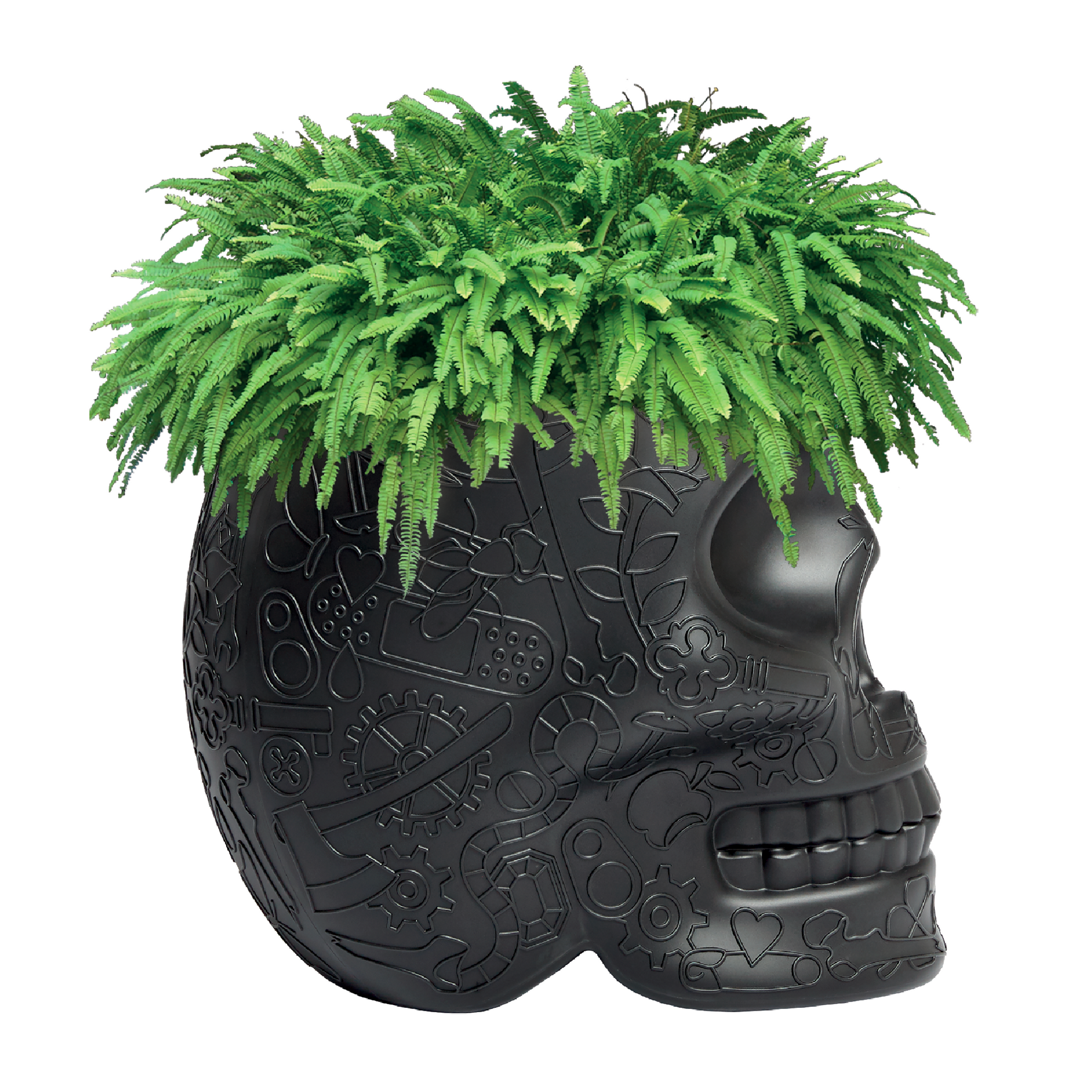 Skull-Shaped Planter Champagne Cooler | Qeeboo Mexico | Italianfurniture.com