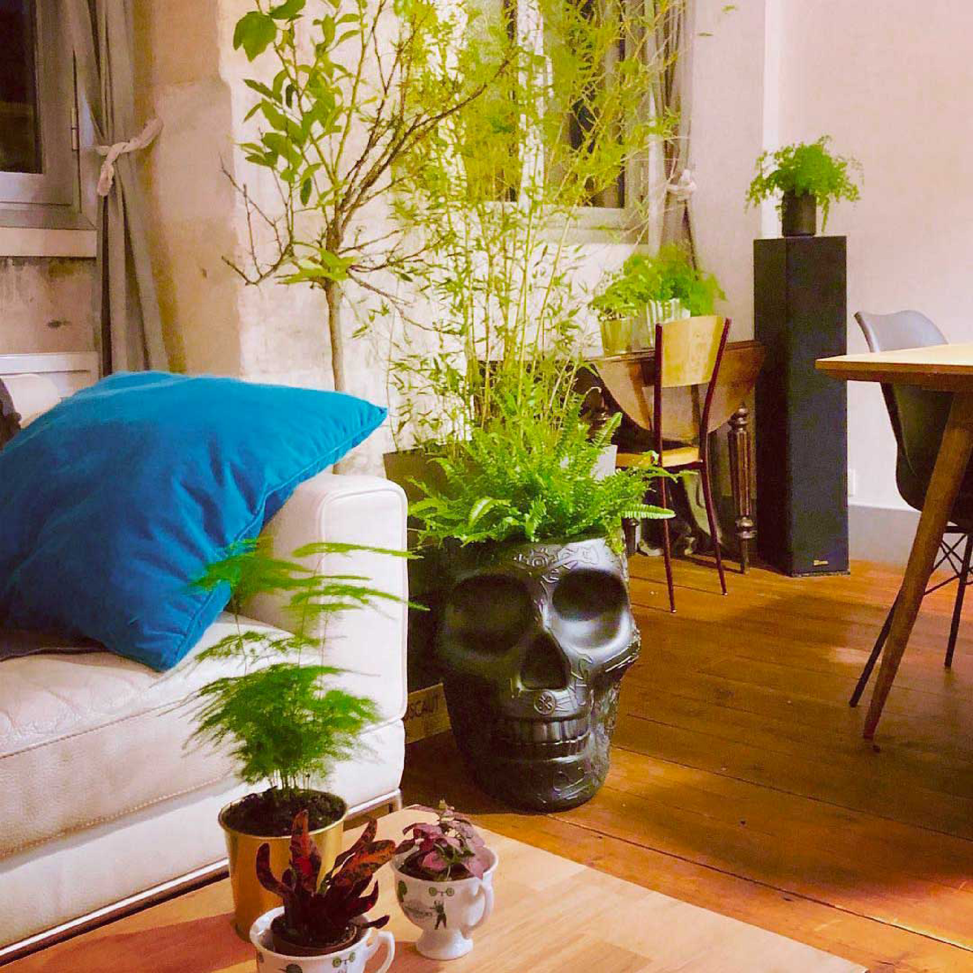 Skull-Shaped Planter Champagne Cooler | Qeeboo Mexico | Italianfurniture.com