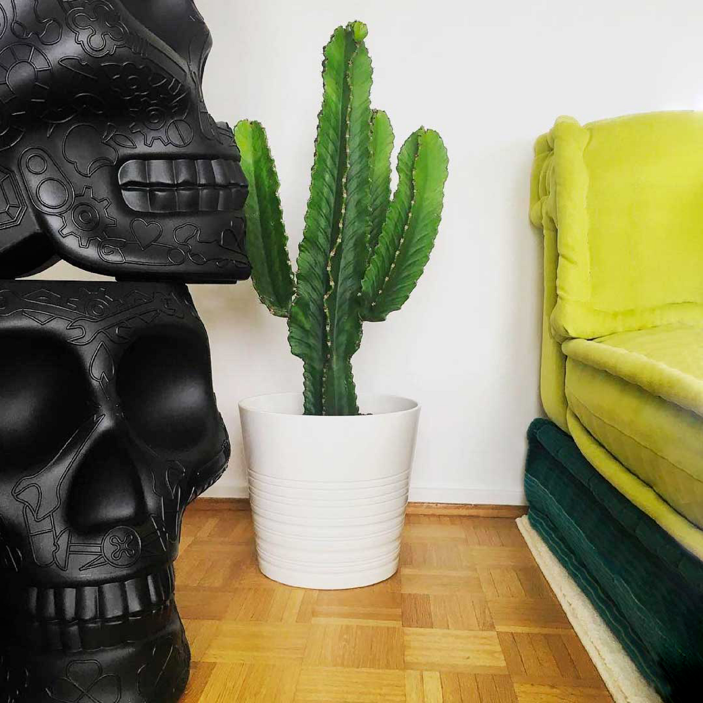 Skull-Shaped Planter Champagne Cooler | Qeeboo Mexico | Italianfurniture.com