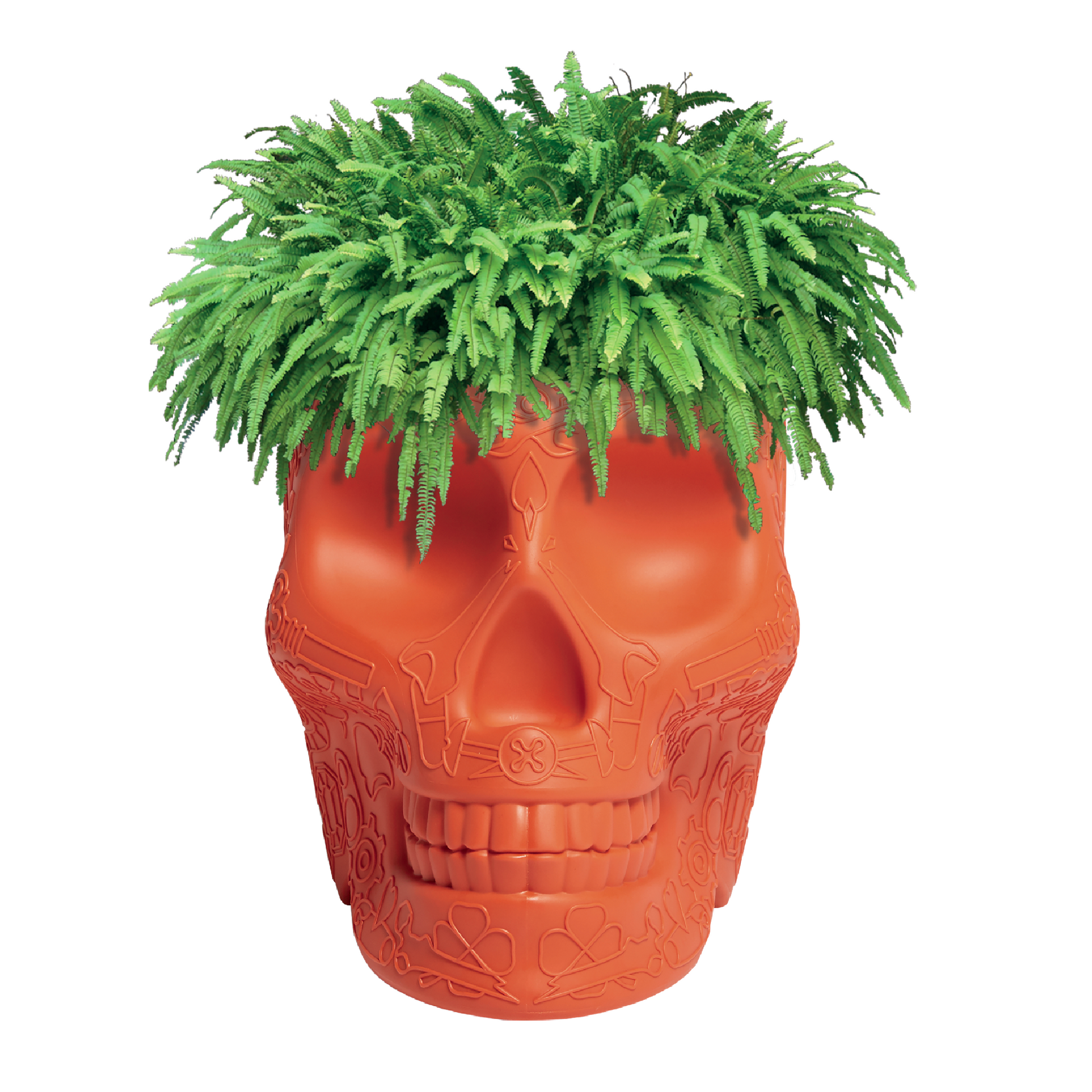 Skull-Shaped Planter Champagne Cooler | Qeeboo Mexico | Italianfurniture.com