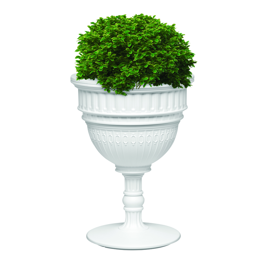 Classic Dome Planter & Champagne Cooler | Qeeboo Capitol | Italianfurniture.com