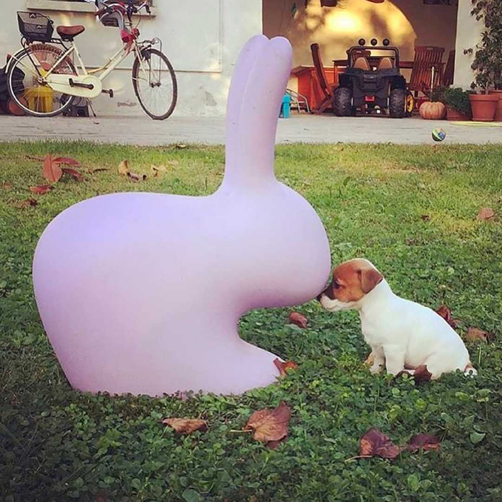 Molded Bunny Chair | Qeeboo Rabbit | Italianfurniture.com