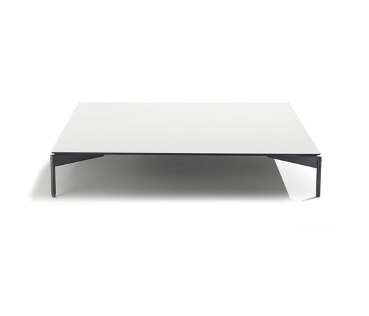 Rectangular Modern Coffee Table | Lema Cruise